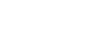 dell-white